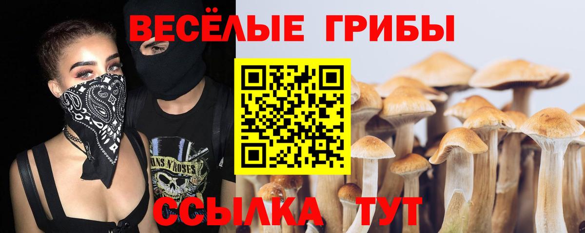 Псилоцибиновые грибы прущие грибы  Вход с VPN  Галлюциногенные грибы Cubensis  Соликамск 